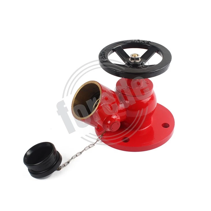 Flange Fire Hydrant Valve
