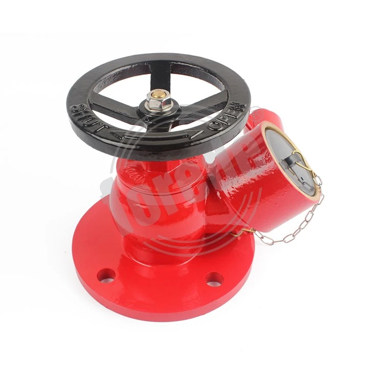 Flange Fire Hydrant Valve