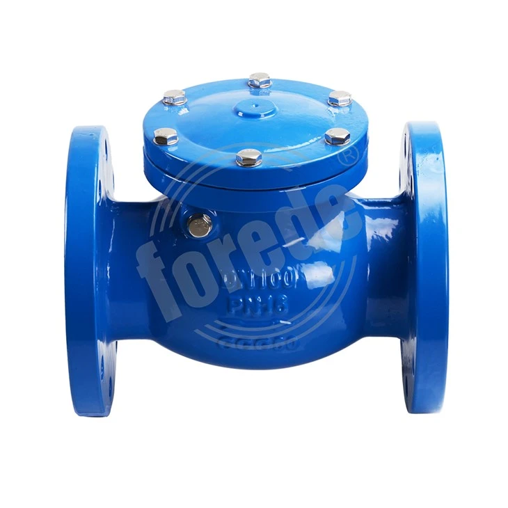 SS Swing Check Valve factory